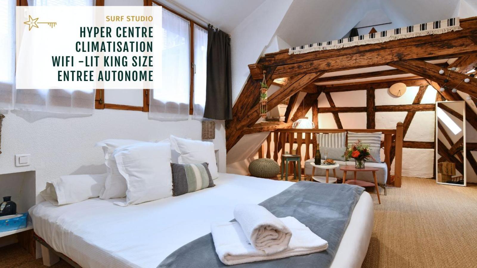 Gite See You Soon - Studio Surf Colmar Zewnętrze zdjęcie